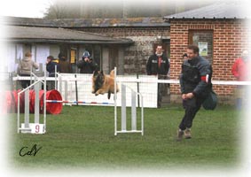 1er concours d'Agility: 28 Mars 2010